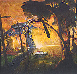 A New Land