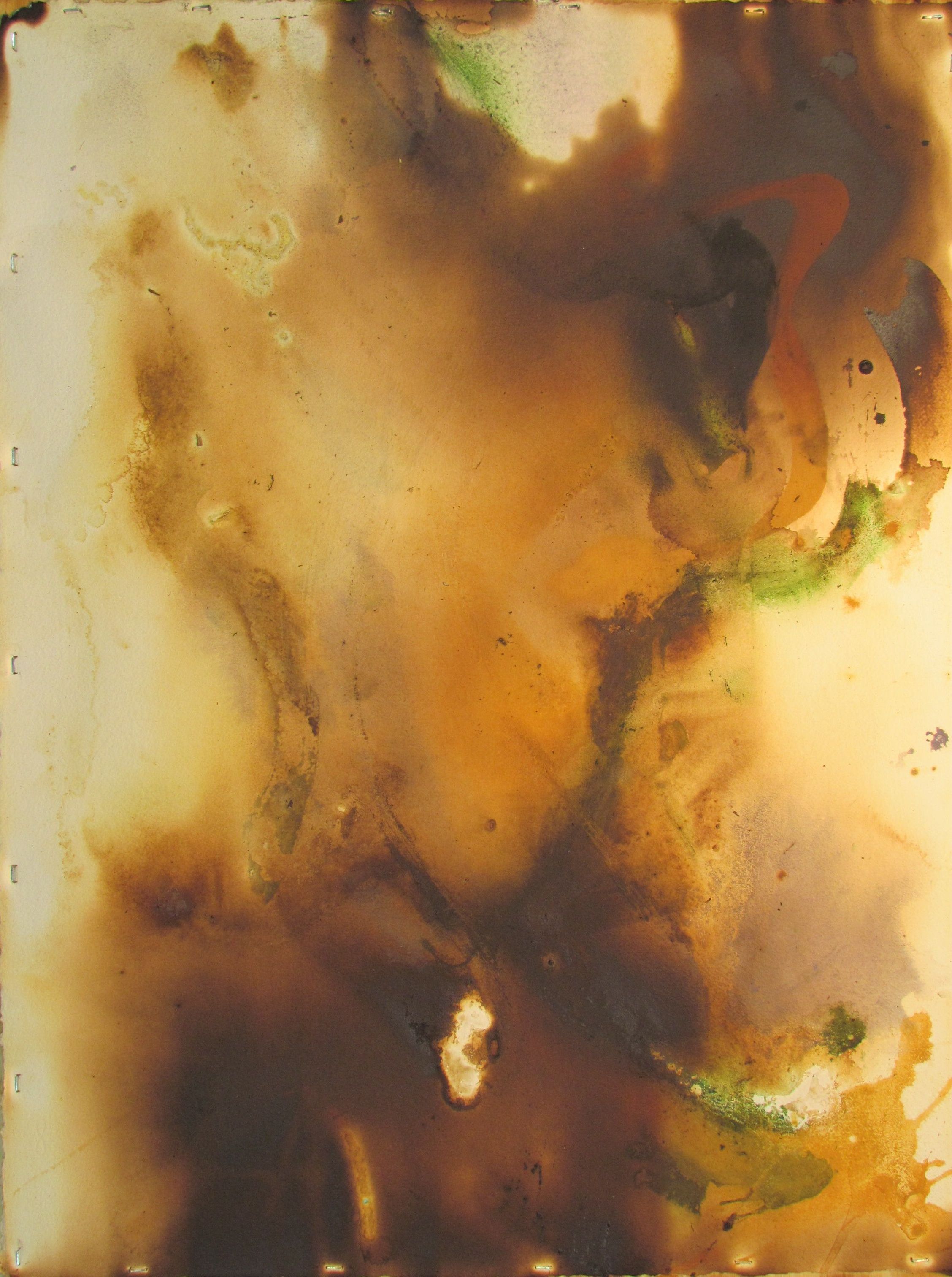 Abstract Natural #2