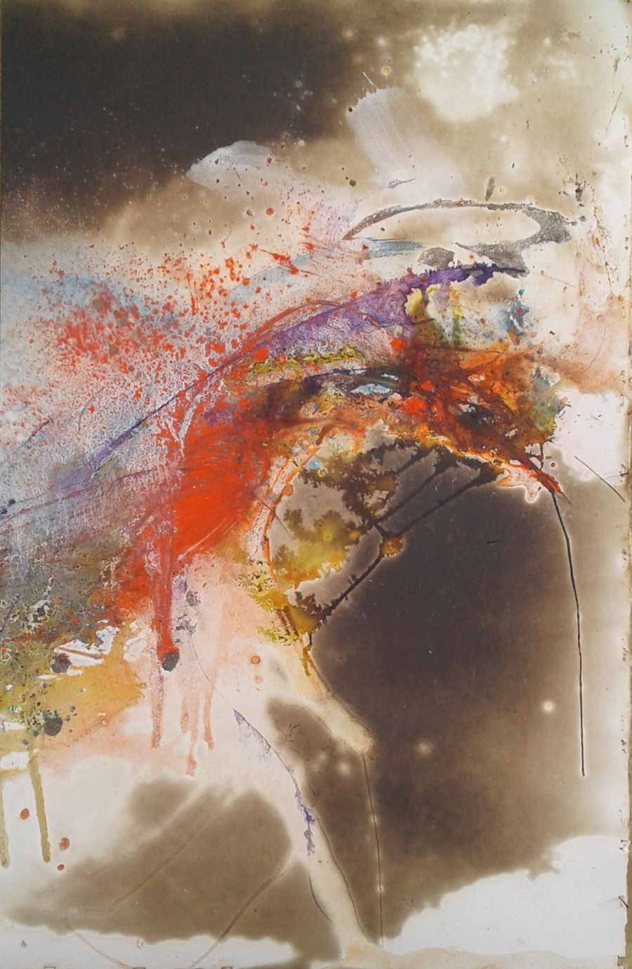 Abstract Natural #21 - The Burning Land